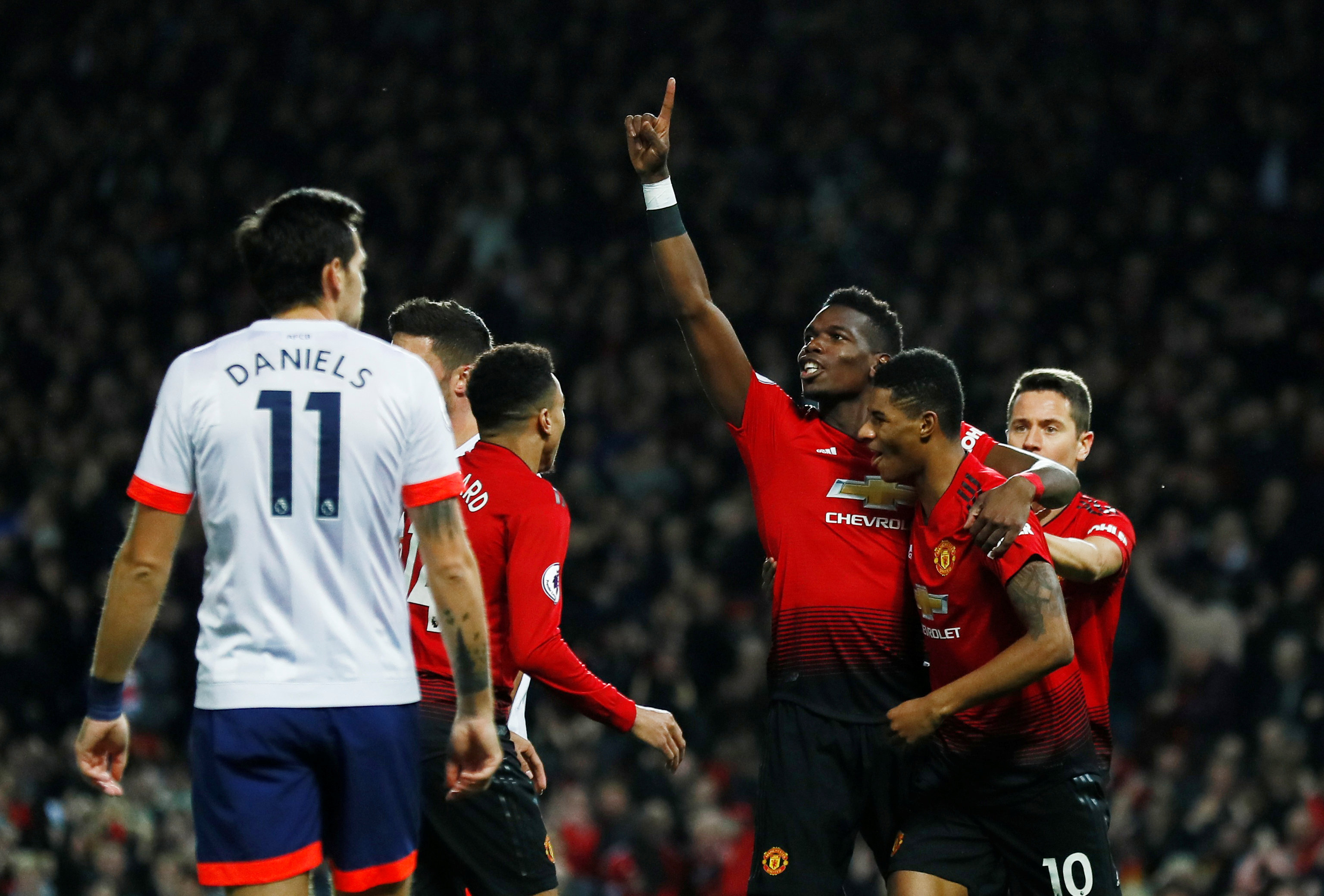 关注这些动 关注这些动