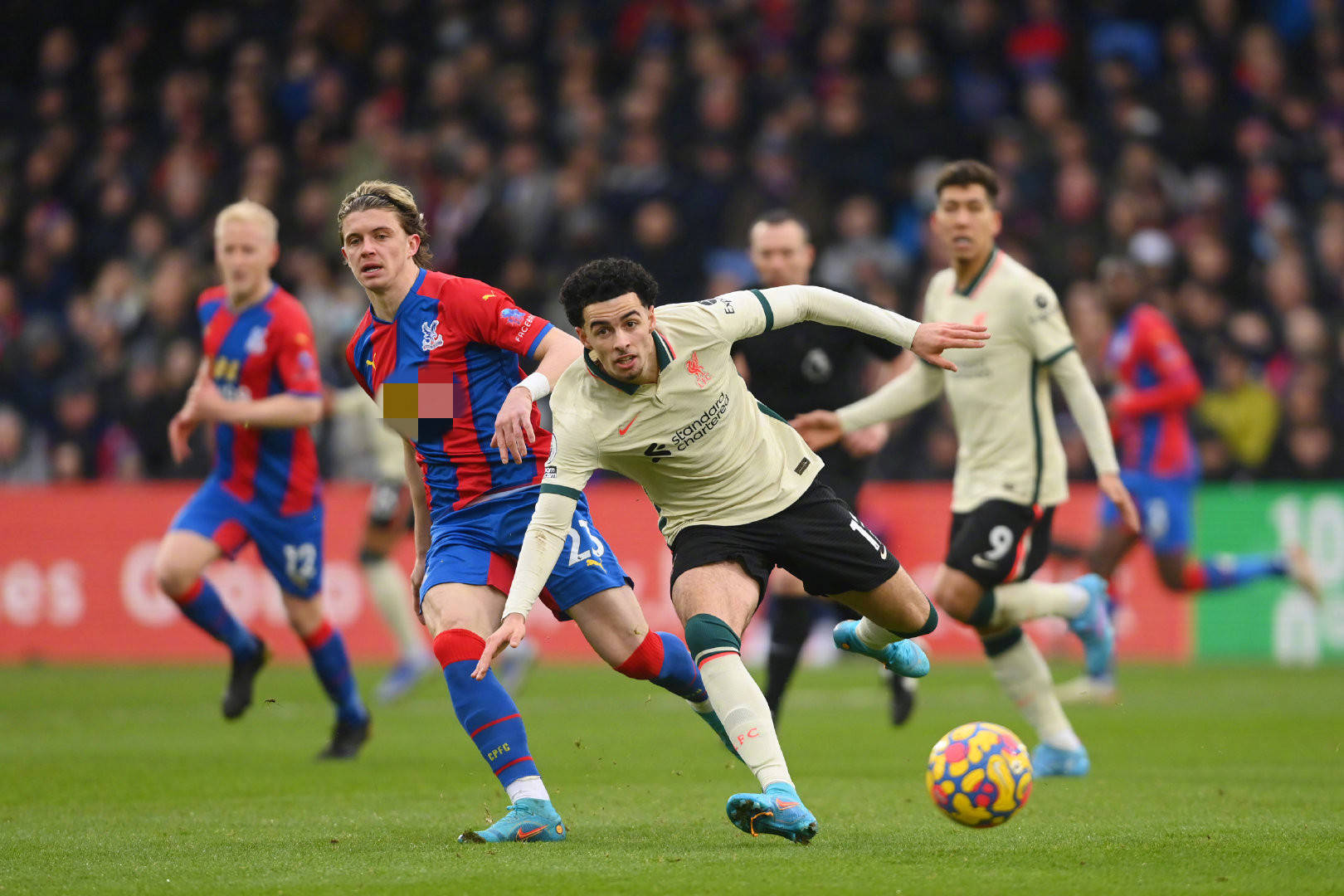 这个夏天的 这个夏天的